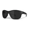 Delamo Safety Glasses -Safety Gear World EDE 21MKS Delamo black matte smoke